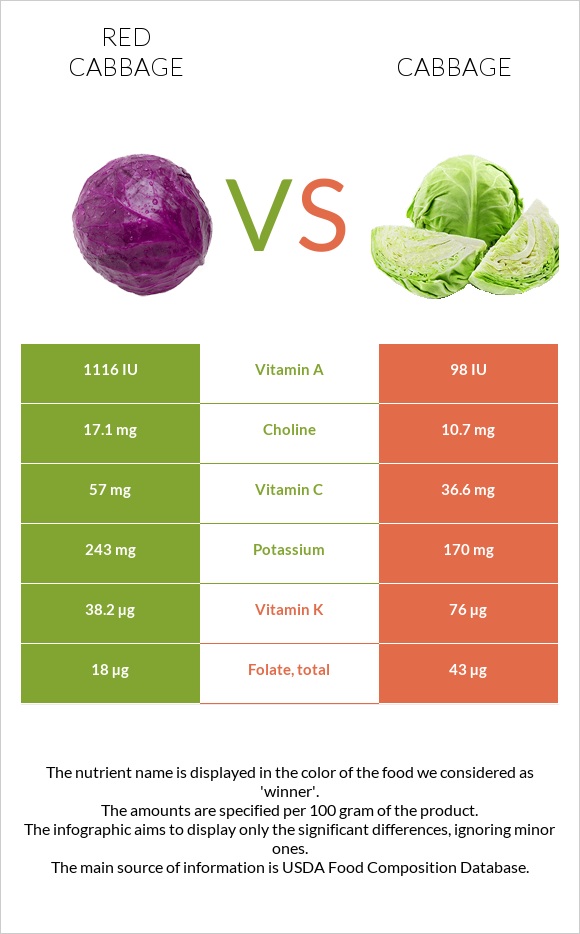 Կարմիր կաղամբ vs Կաղամբ infographic