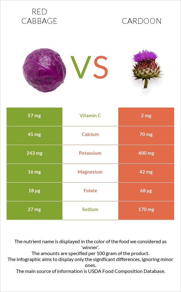 Red cabbage vs Cardoon infographic