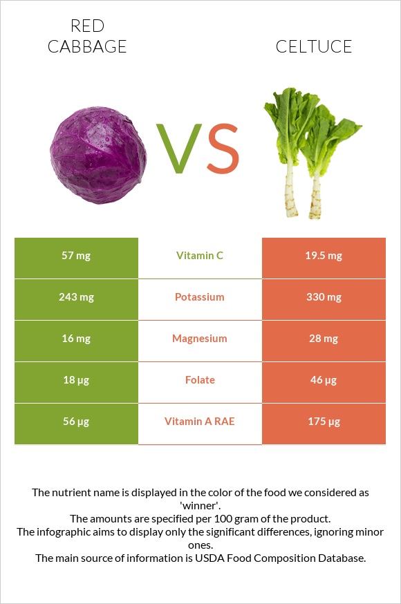 Red cabbage vs Celtuce infographic