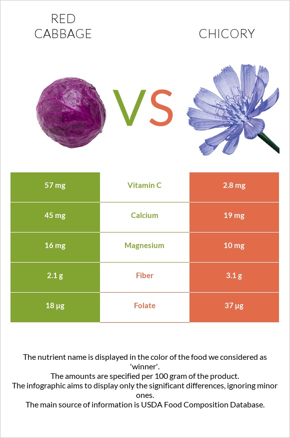 Red cabbage vs Chicory infographic