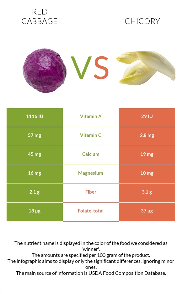 Red cabbage vs Chicory infographic