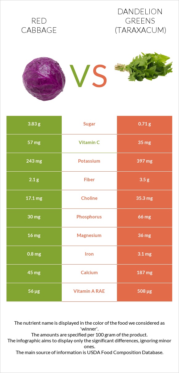 Red cabbage vs Dandelion greens infographic
