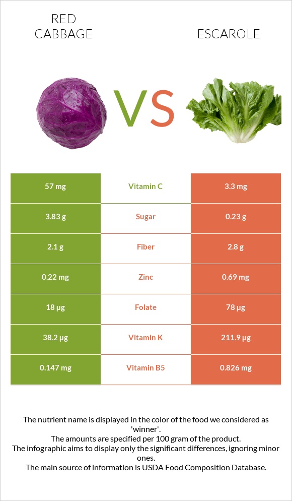 Red cabbage vs Escarole infographic