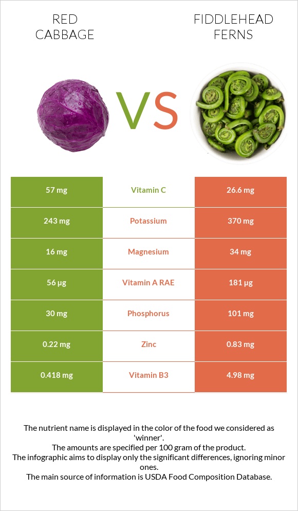 Red cabbage vs Fiddlehead ferns infographic