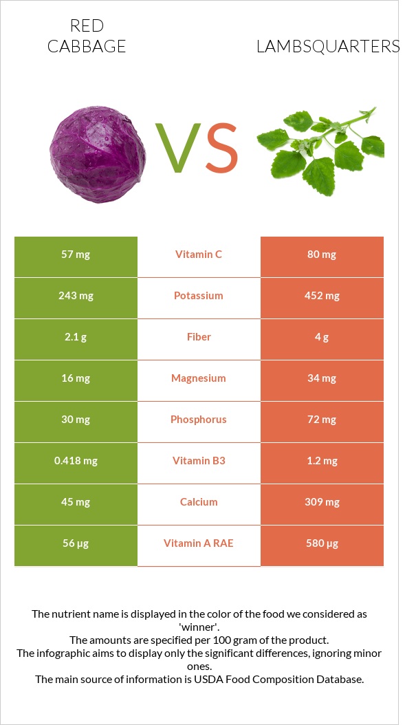 Red cabbage vs Lambsquarters infographic