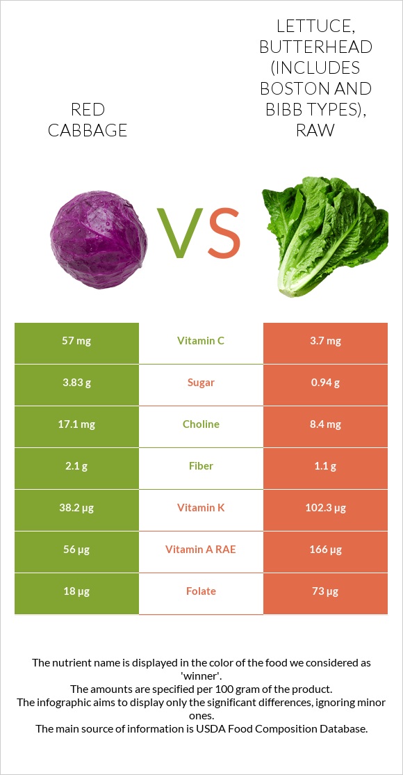 Red cabbage vs Lettuce, butterhead (includes boston and bibb types), raw infographic