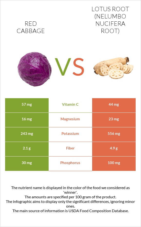 Red cabbage vs Lotus root infographic