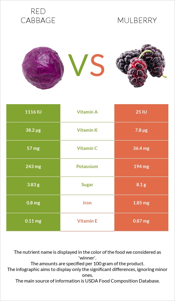 Կարմիր կաղամբ vs Թութ infographic