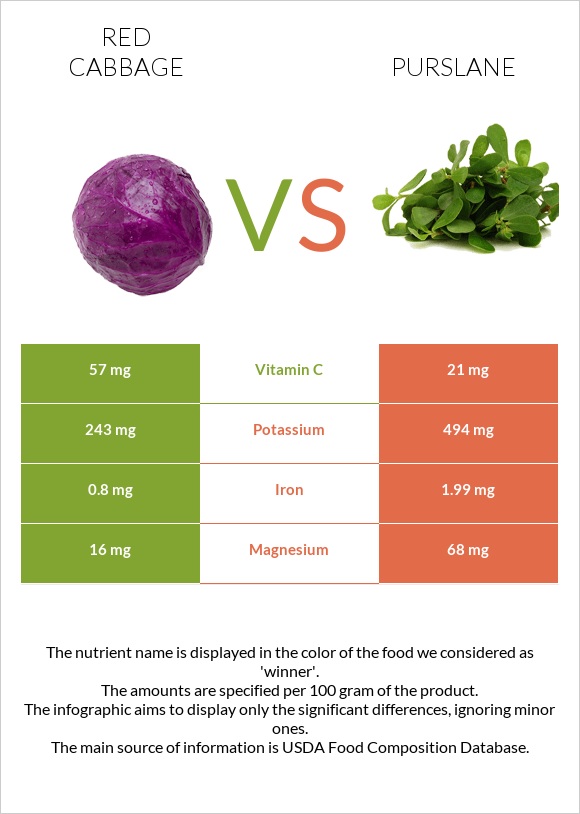 Red cabbage vs Purslane infographic