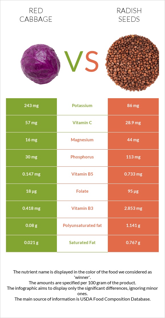 Կարմիր կաղամբ vs Radish seeds infographic