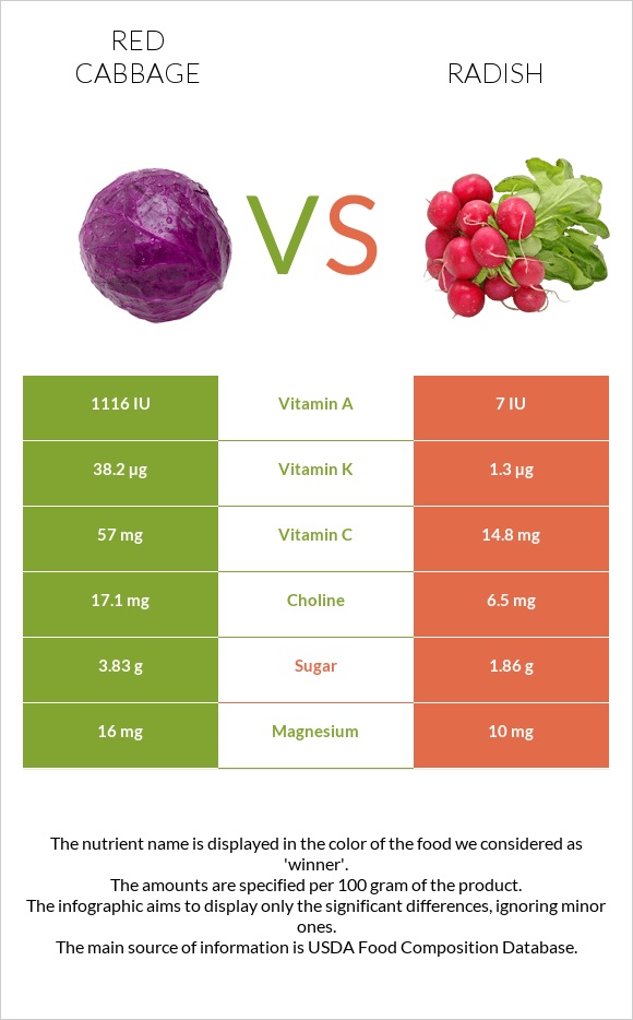 Կարմիր կաղամբ vs Բողկ infographic