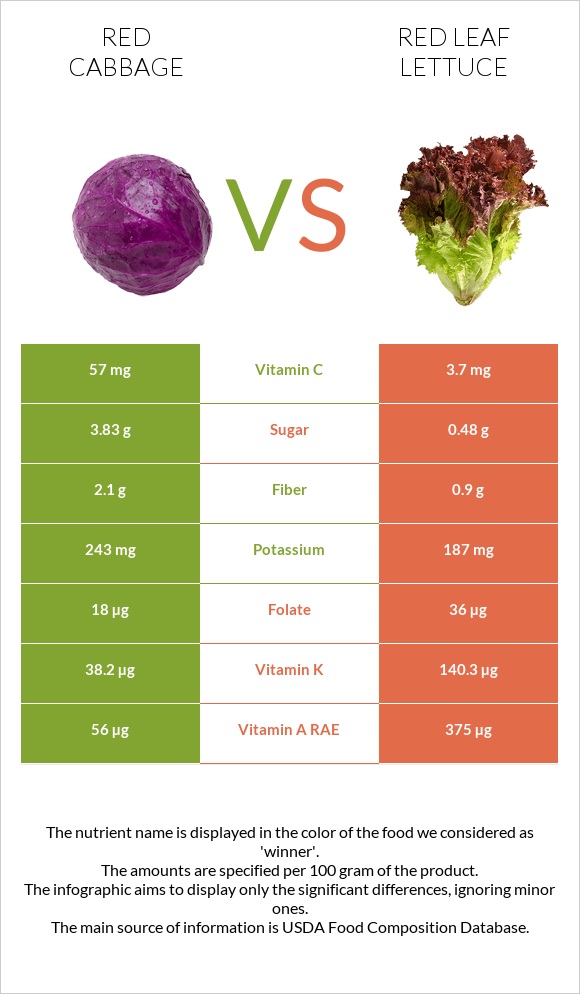 Red cabbage vs Red leaf lettuce infographic