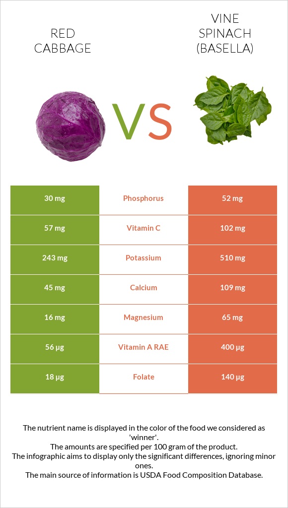 Red cabbage vs Vine spinach (basella) infographic
