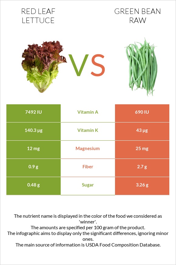 Red leaf lettuce vs Կանաչ լոբի հում infographic