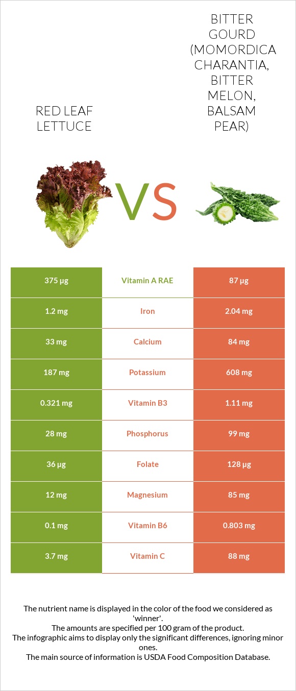 Red leaf lettuce vs Դառը դդում infographic
