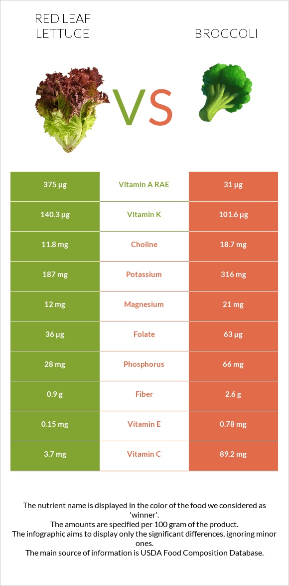 Red leaf lettuce vs Broccoli infographic