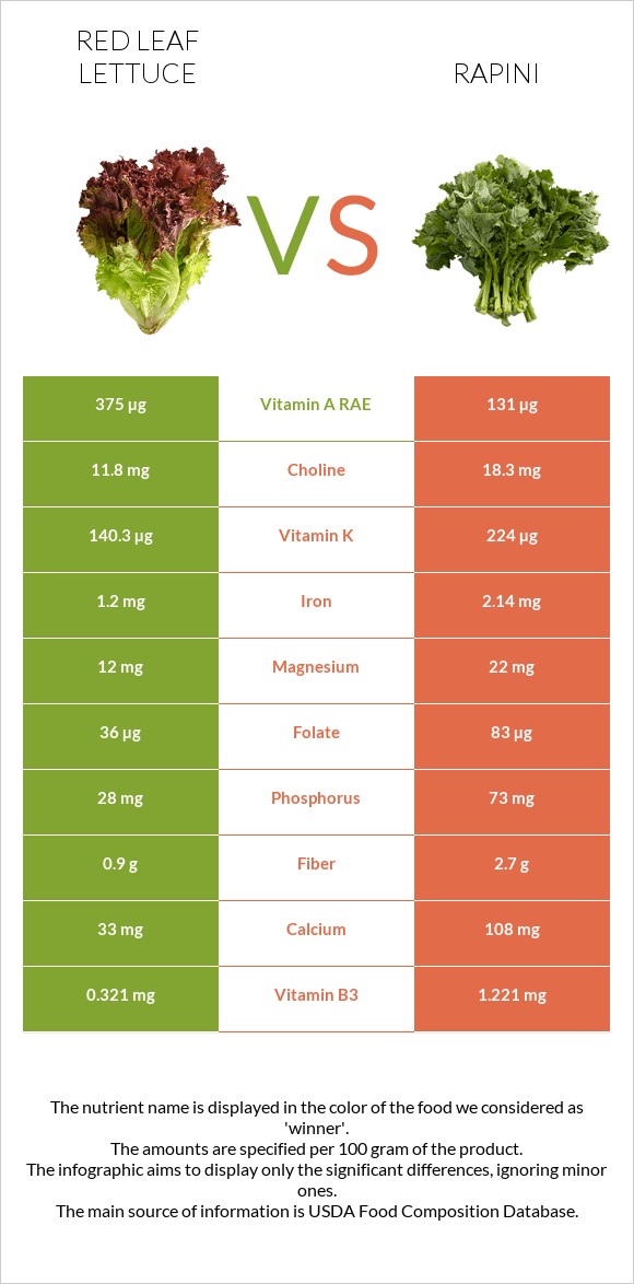 Red leaf lettuce vs Rapini infographic