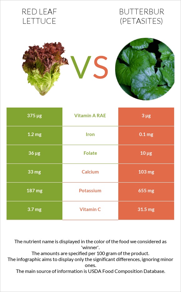 Red leaf lettuce vs Butterbur infographic