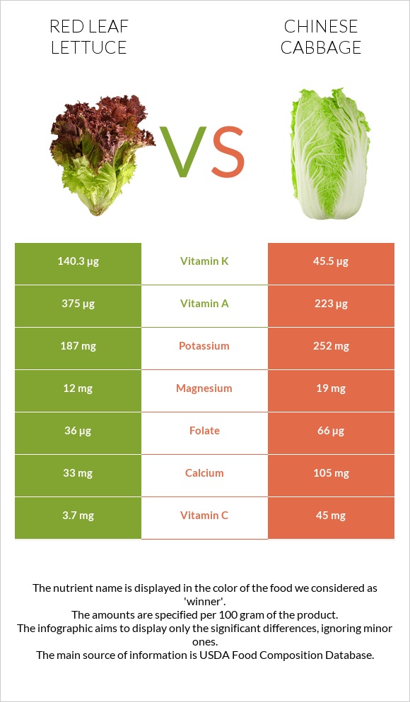 Red leaf lettuce vs Chinese cabbage infographic