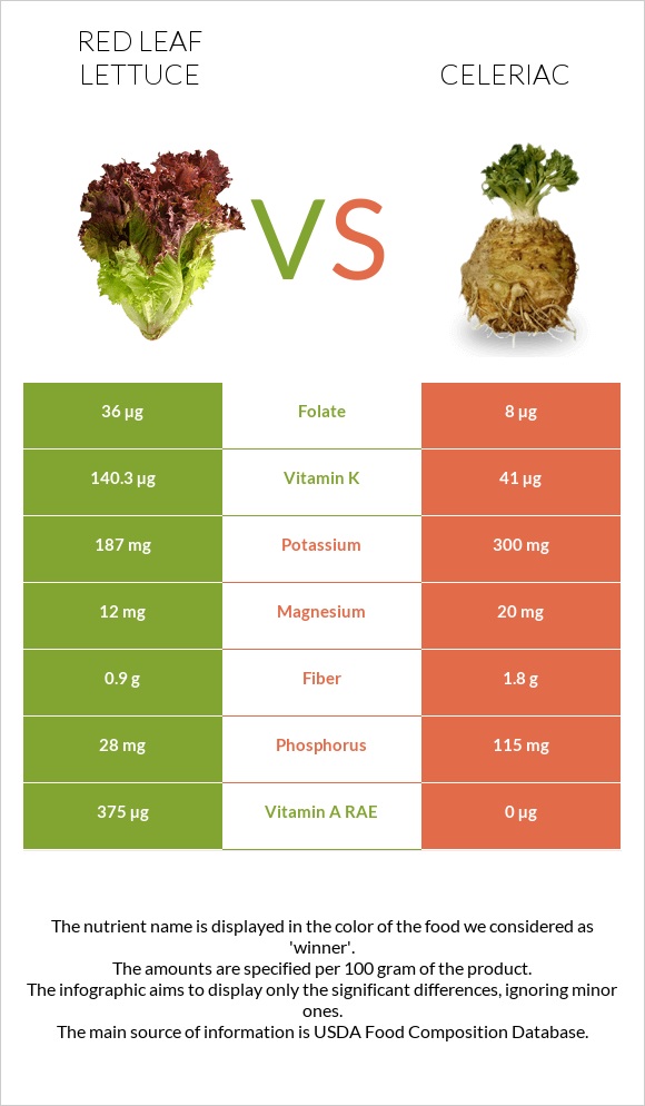 Red leaf lettuce vs Celeriac infographic