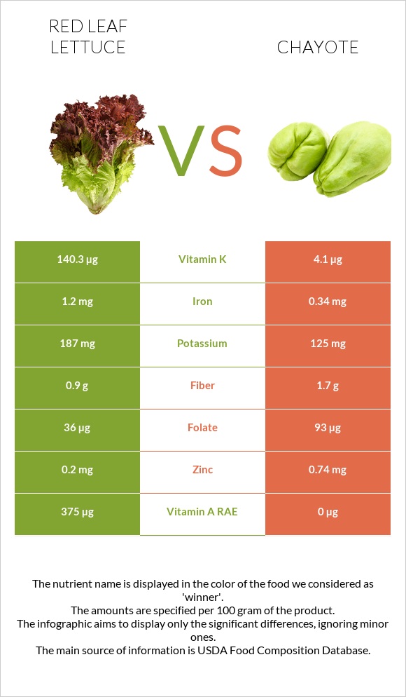 Red leaf lettuce vs Chayote infographic