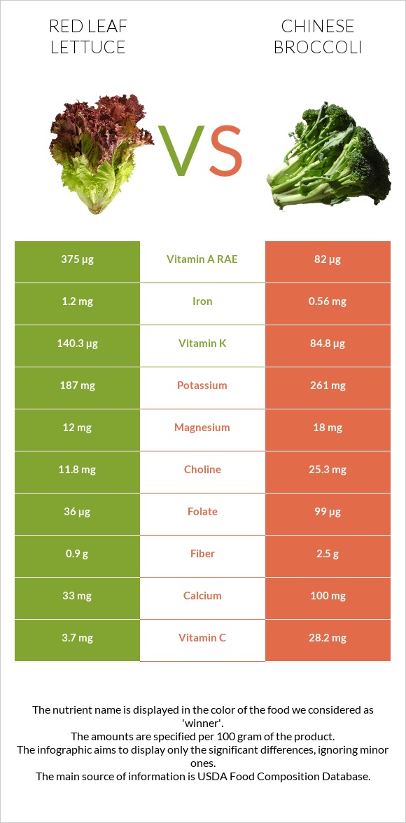 Red leaf lettuce vs Chinese broccoli infographic