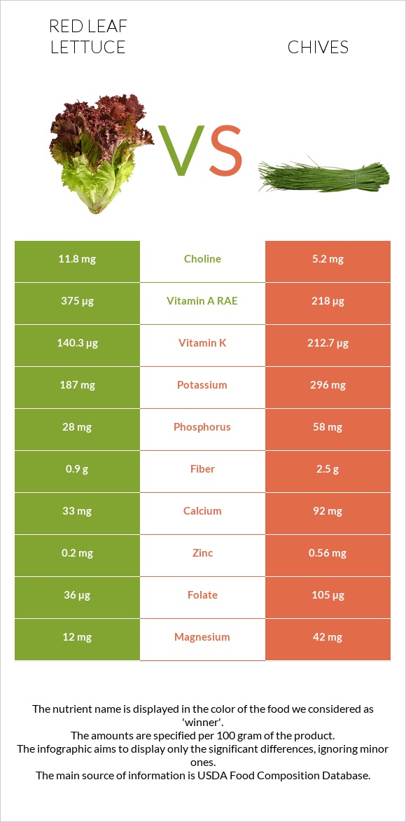 Red leaf lettuce vs Chives infographic