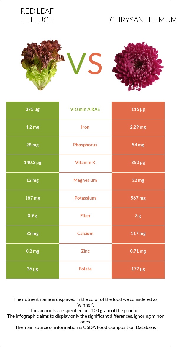 Red leaf lettuce vs Քրիզանթեմ infographic