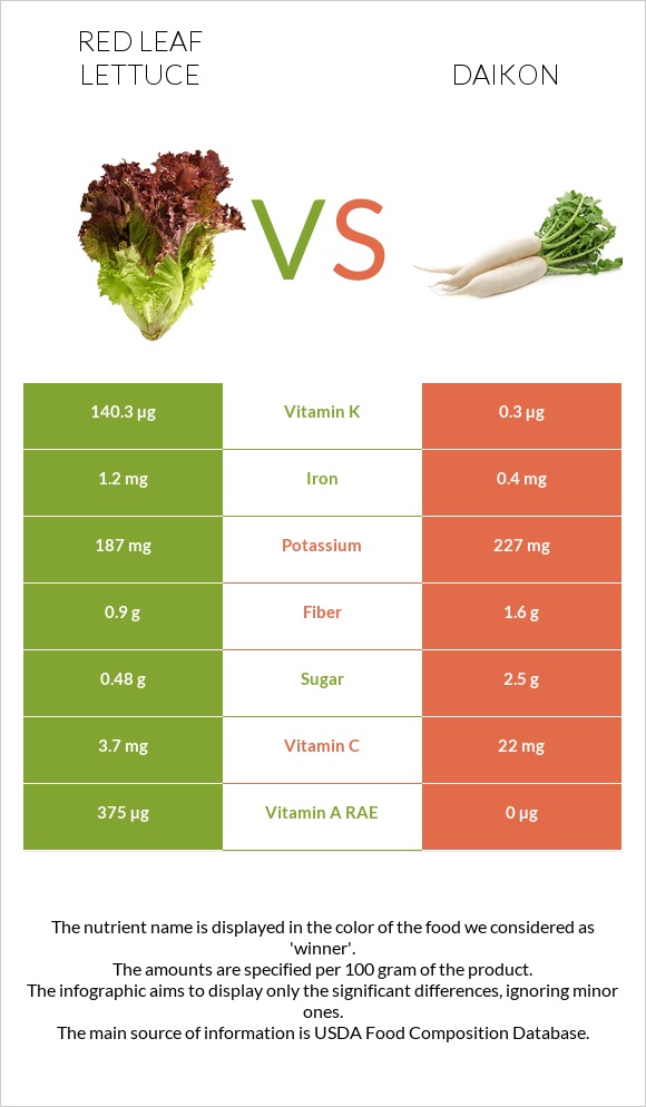 Red leaf lettuce vs Daikon infographic