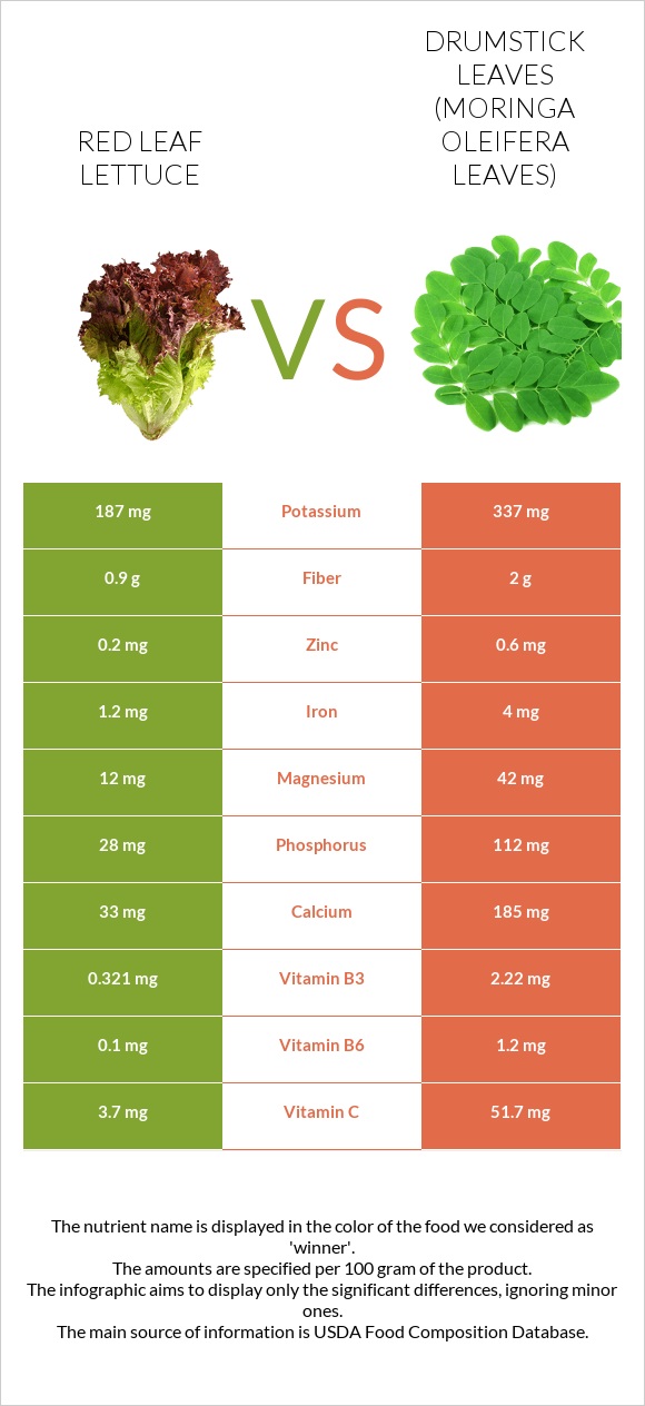 Red leaf lettuce vs Drumstick leaves infographic