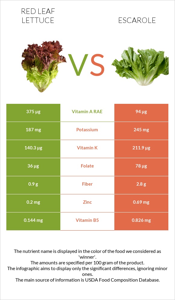 Red leaf lettuce vs Escarole infographic
