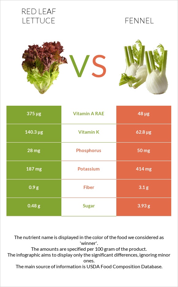 Red leaf lettuce vs Ֆենխել infographic