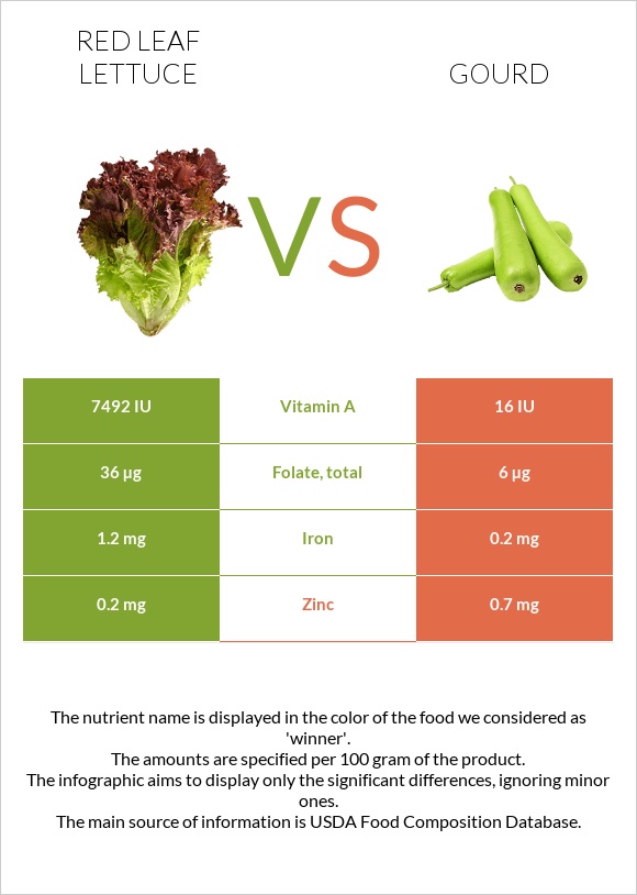 Red leaf lettuce vs Դդում infographic