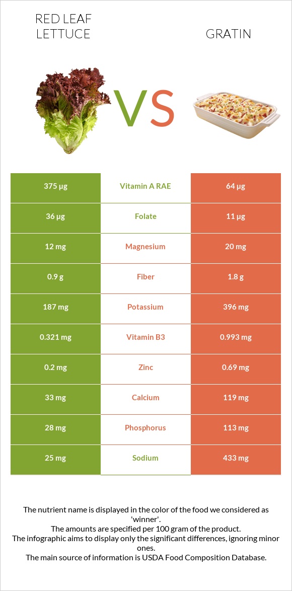 Red leaf lettuce vs Gratin infographic