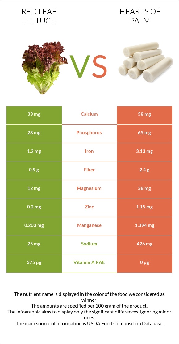 Red leaf lettuce vs Hearts of palm infographic