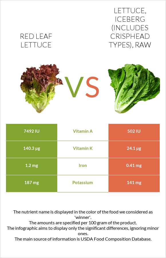 Red leaf lettuce vs. Lettuce, iceberg (includes crisphead types), raw