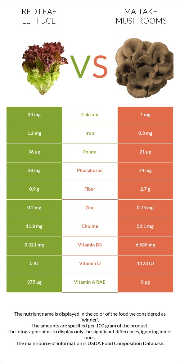 Red leaf lettuce vs Maitake mushrooms infographic
