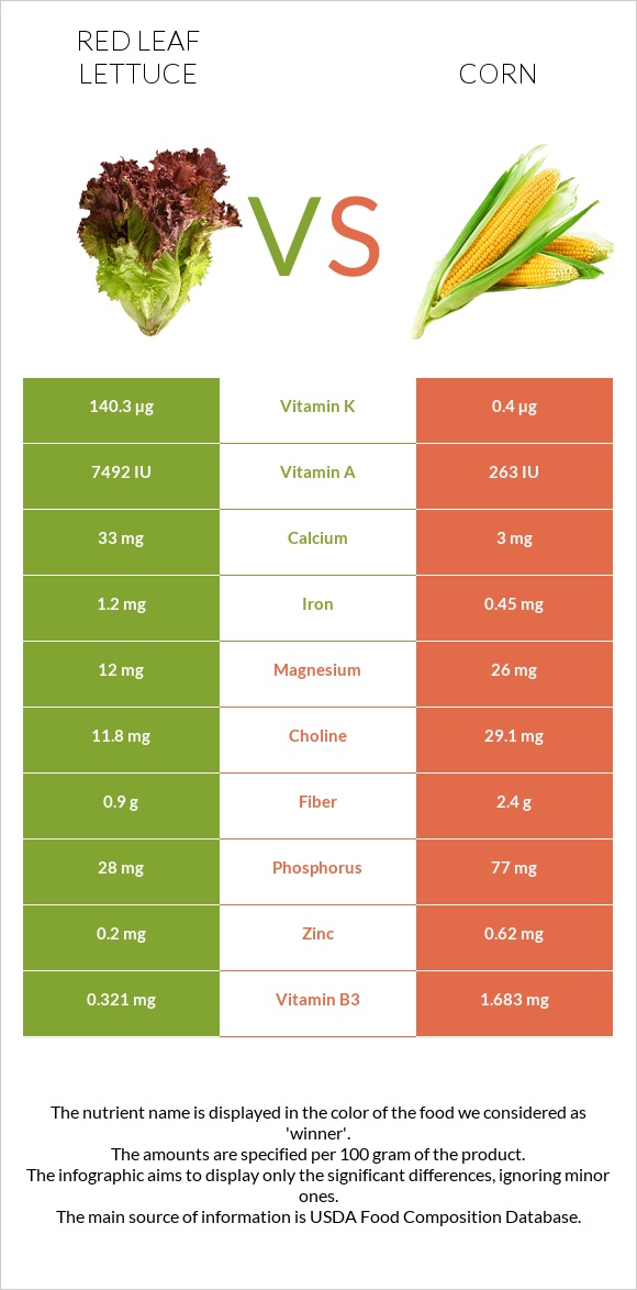 Red leaf lettuce vs Corn infographic