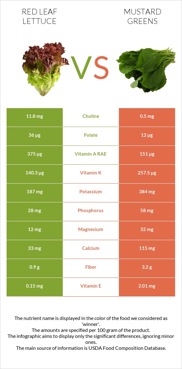 Red leaf lettuce vs Mustard Greens infographic