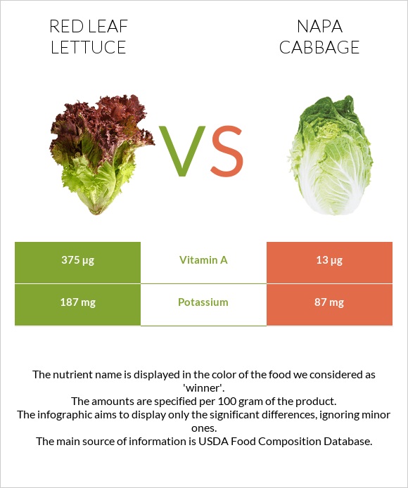 Red leaf lettuce vs Napa cabbage infographic