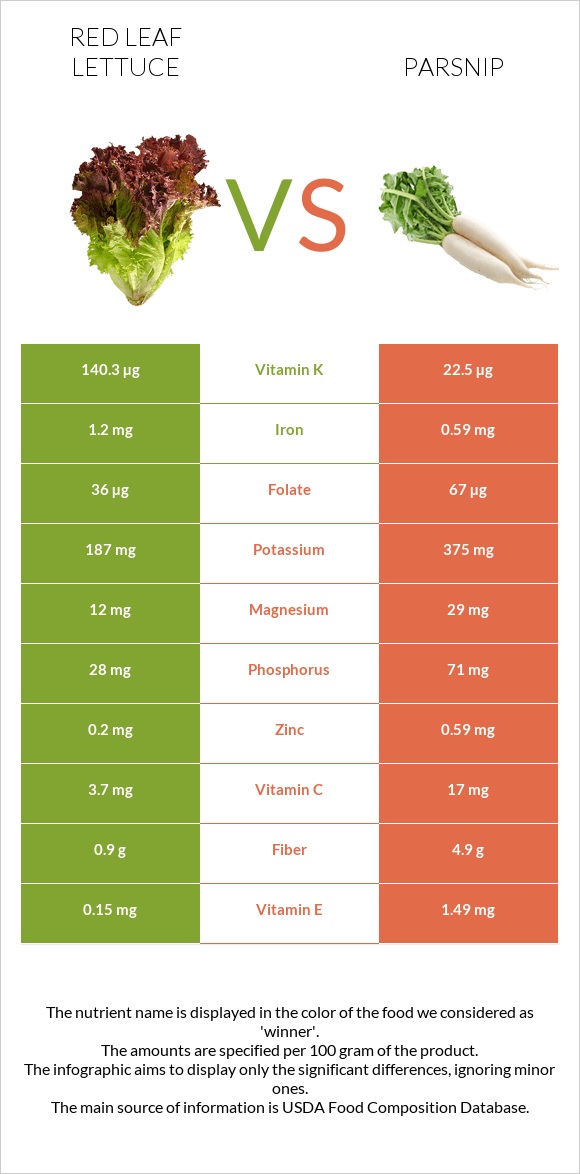 Red leaf lettuce vs Parsnip infographic
