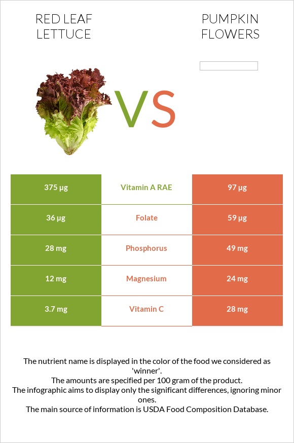 Red leaf lettuce vs Pumpkin flowers infographic