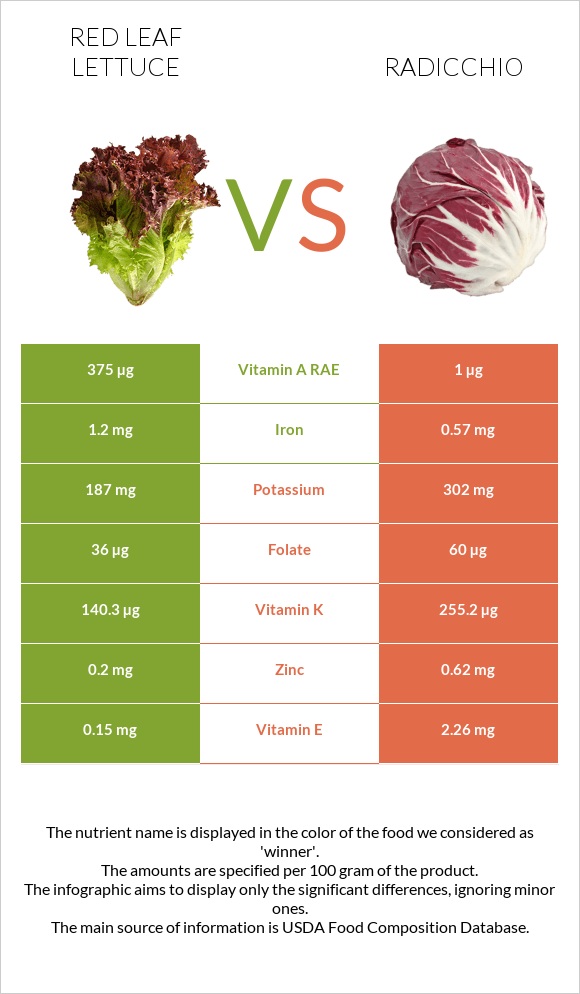 Red leaf lettuce vs Radicchio infographic