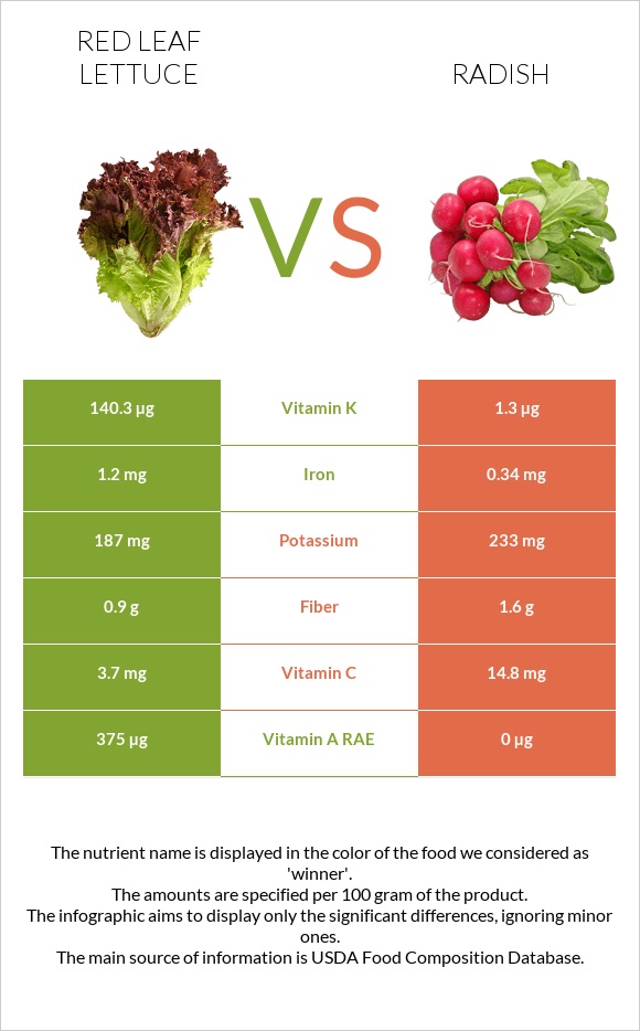 Red leaf lettuce vs Radish infographic