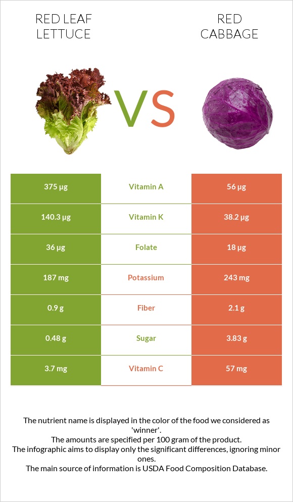 Red leaf lettuce vs Red cabbage infographic