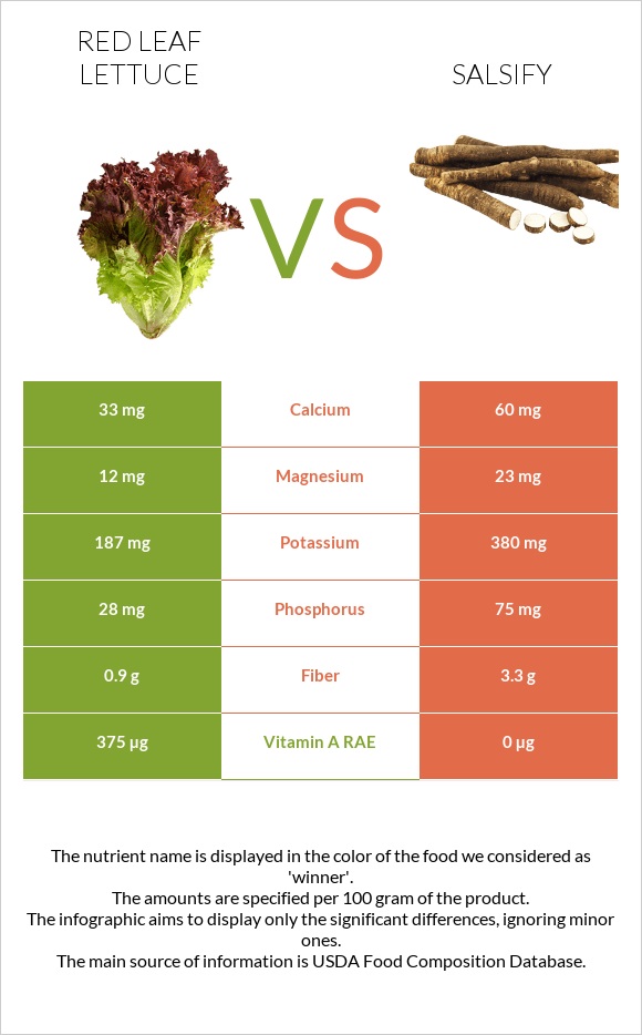 Red leaf lettuce vs Salsify infographic