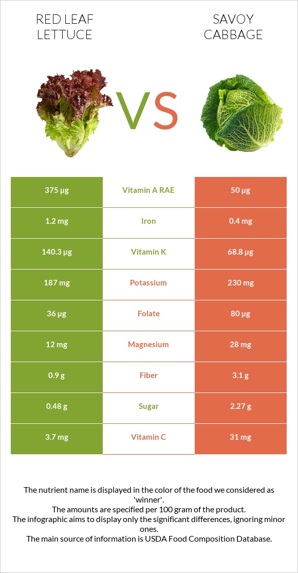 Red leaf lettuce vs Savoy cabbage infographic