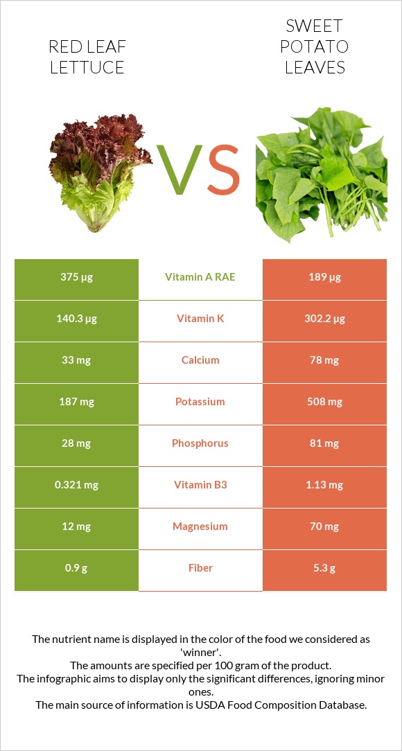 Red leaf lettuce vs Sweet potato leaves infographic