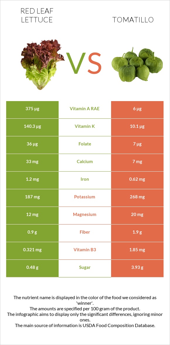Red leaf lettuce vs Tomatillo infographic