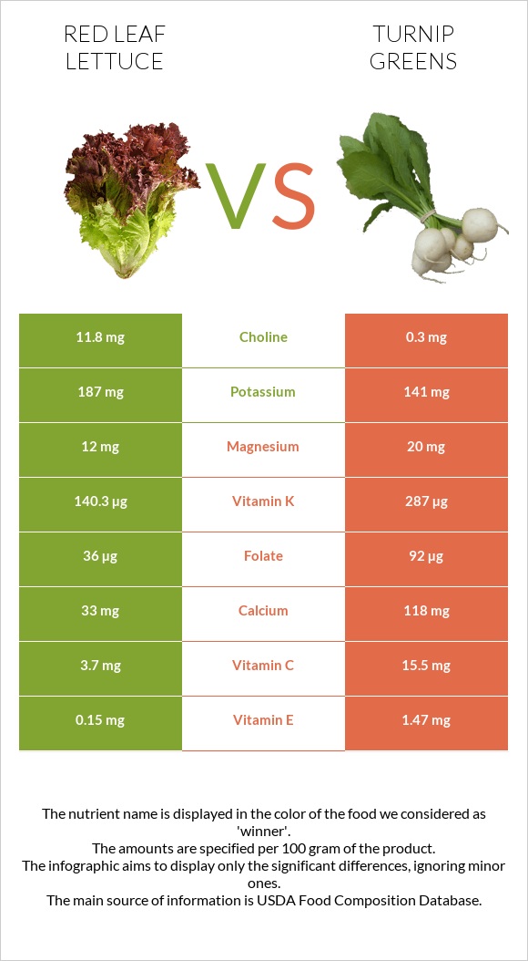 Red leaf lettuce vs Turnip greens infographic